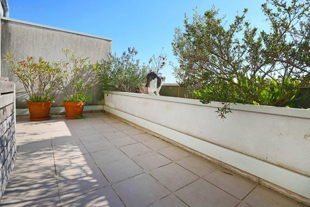 Appartement à MONTREUIL