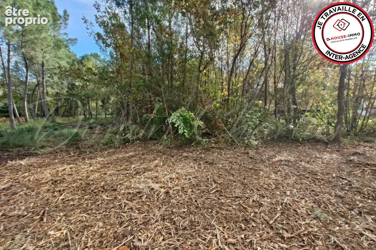Terrain 3 700 m² à vendre à Saint-Sauveur (33250) - photo 11