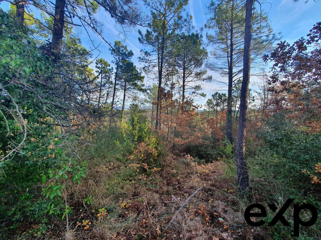 Terrain à SAINT-PAUL-EN-FORET