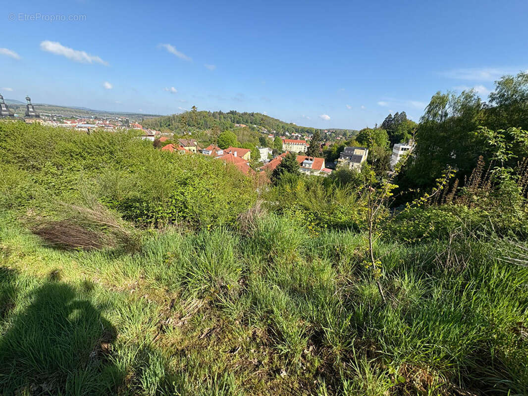 Terrain Saint Avold 3801 m2 - photo 10