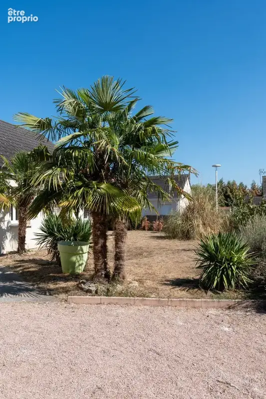Maison de plain pied à Villeneuve sur Allier - photo 12