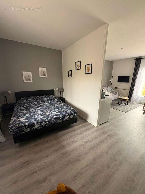 Gite 1.1 - Commerce à BOULOGNE-SUR-GESSE