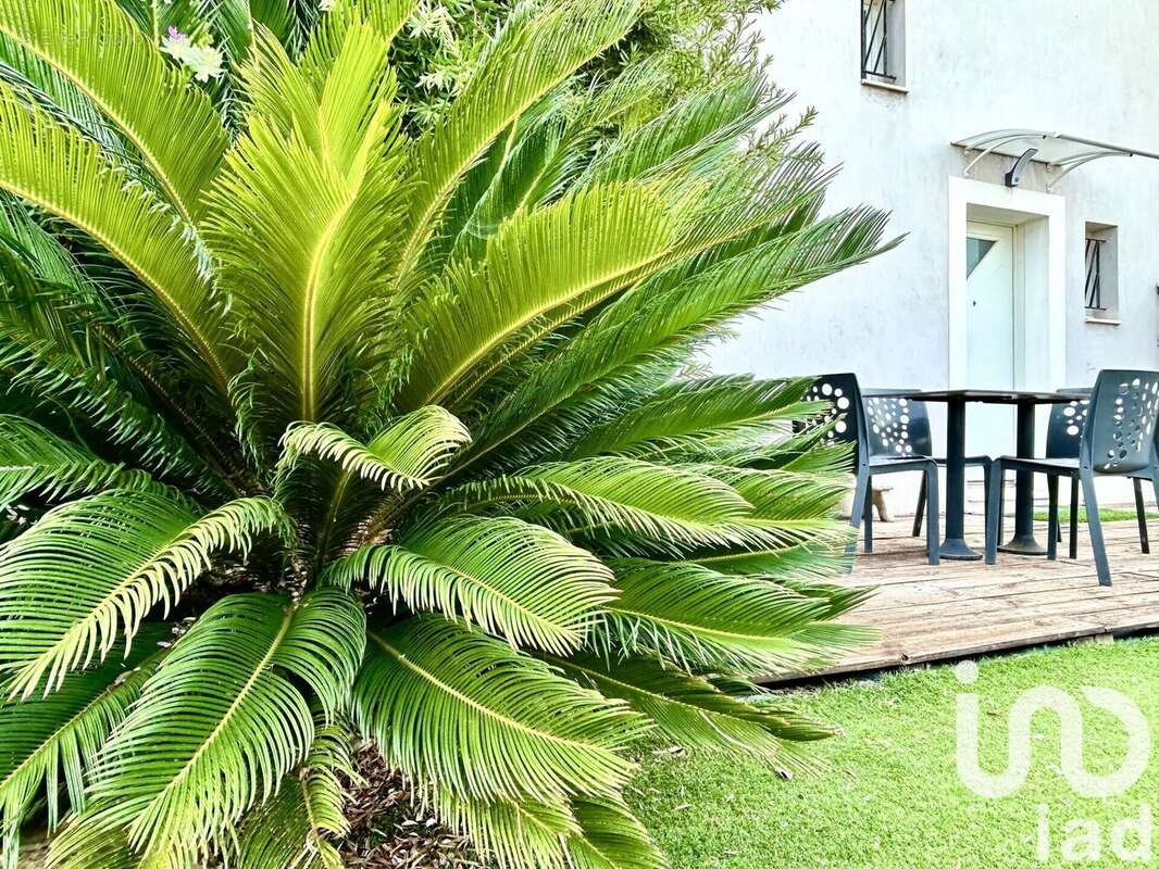 Photo 3 - Maison à LA LONDE-LES-MAURES