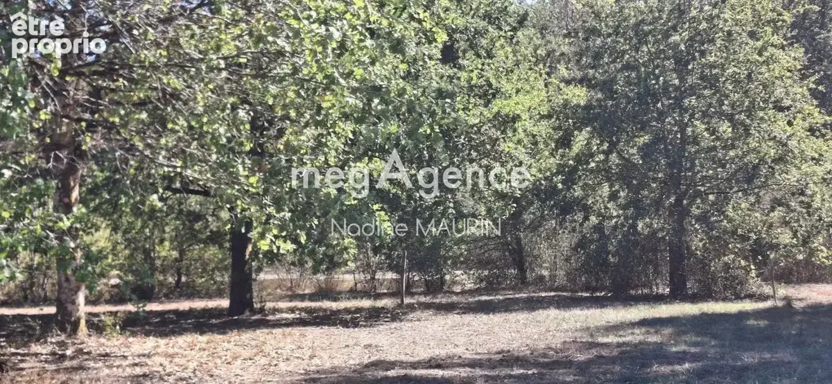 Chalet en bois de 138 m² de 4 chambres sur un terrainde 73862m² - photo 4