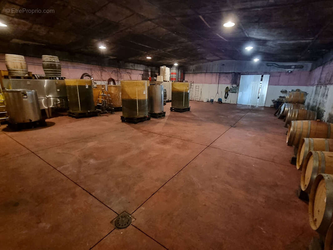 Commerce à MOREY-SAINT-DENIS