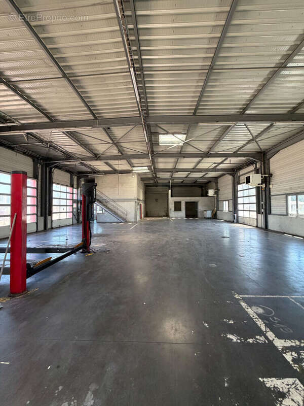 EXCLUSIVITE ! Local d'activité emplacement numéro 1 - photo 9