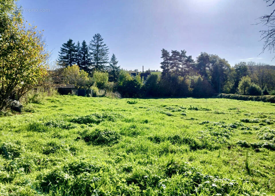 Terrain à SANSAC-DE-MARMIESSE
