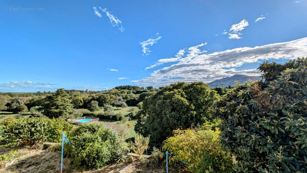 Maison à LAROQUE-DES-ALBERES