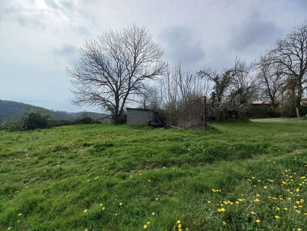 Maison à MONTESQUIOU