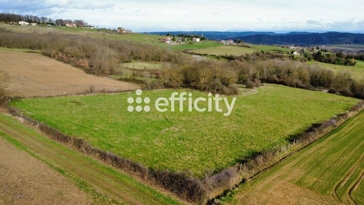 Terrain à LA MOTTE-DE-GALAURE