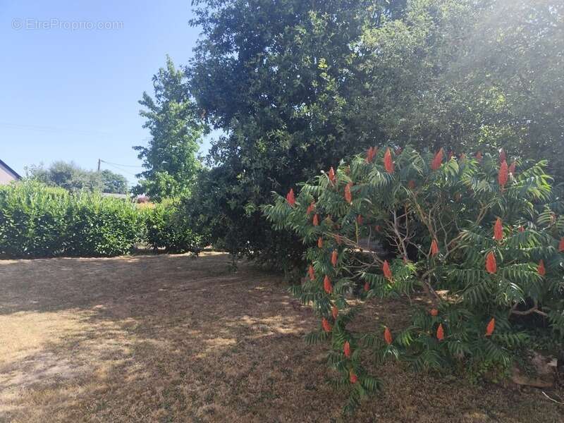 Maison à vendre 5 pièces  (56) - photo 17