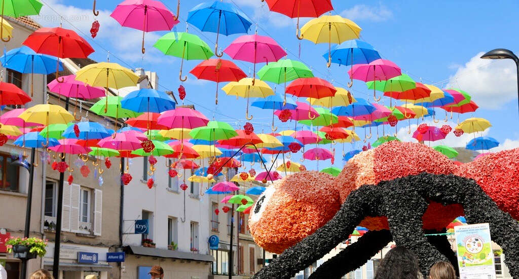 Terrain à BRIE-COMTE-ROBERT