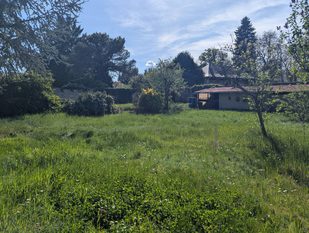 Terrain à SOLTERRE