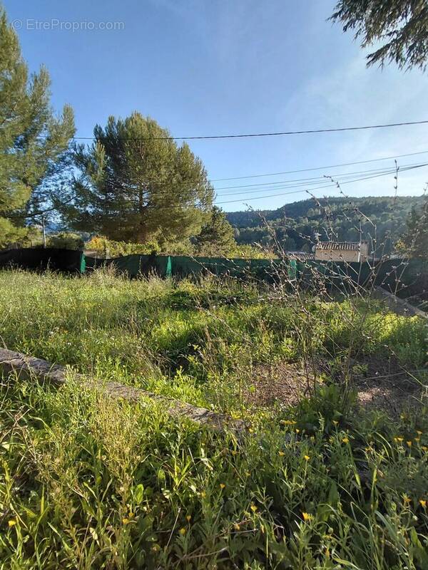 Terrain à PEYPIN