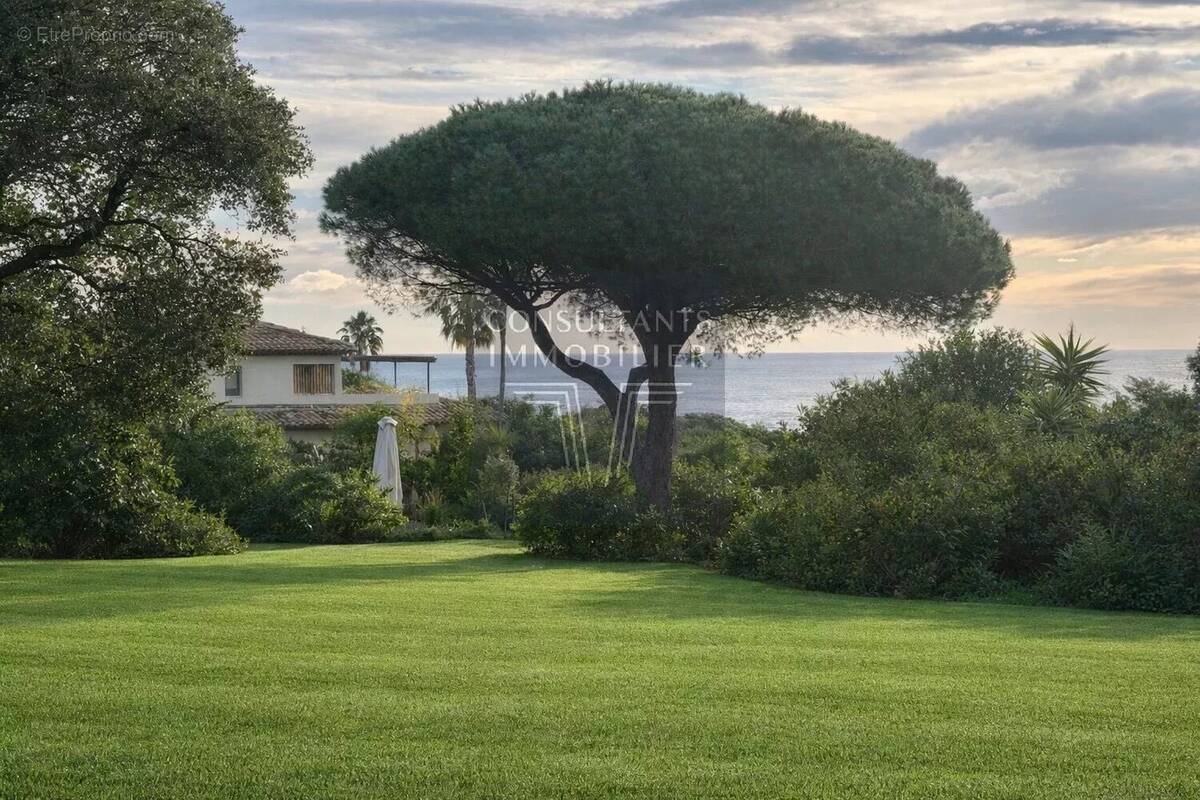 Maison à RAMATUELLE