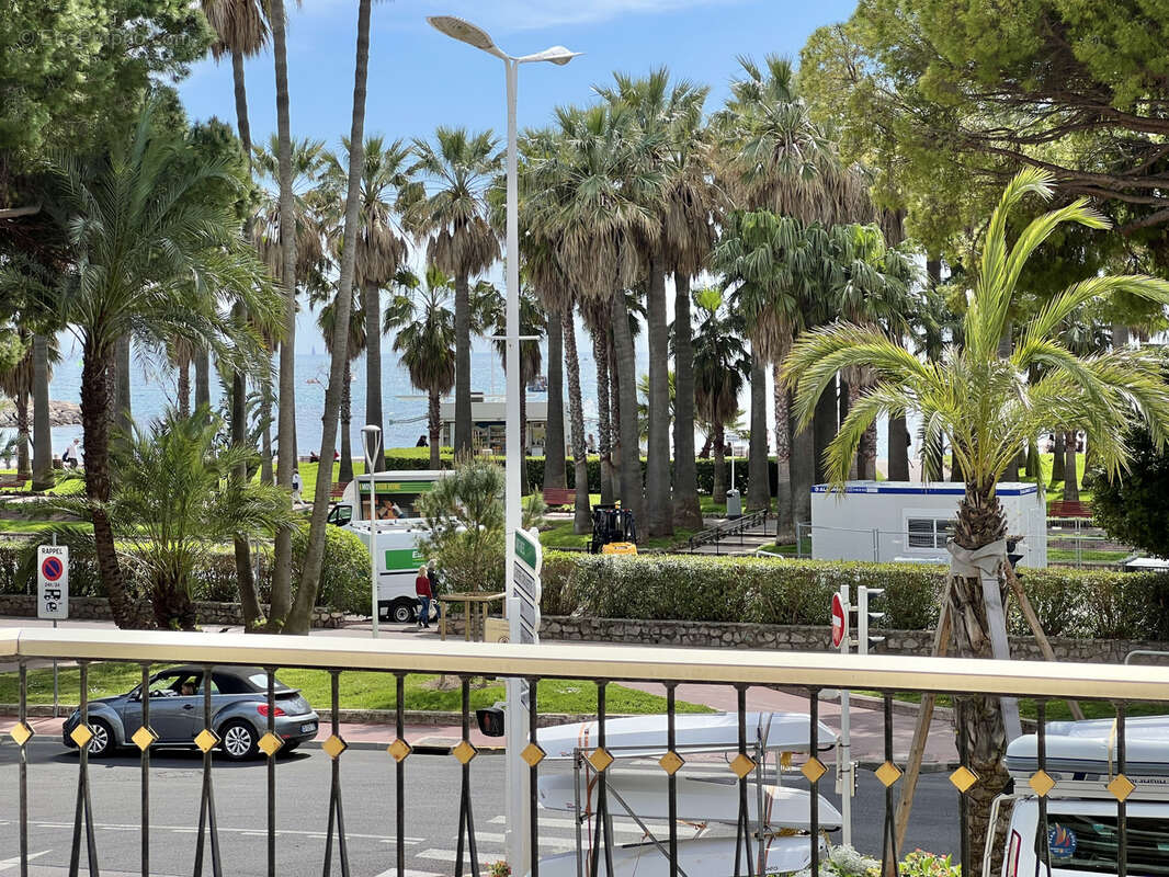 3 pièces 96 m2 de standing   rénové   terrasse sud avec vue parc et mer   parking   à 3 min des plages du palm - photo 4