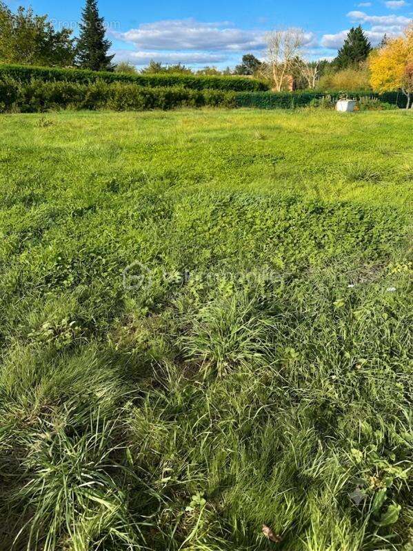 Terrain viabilisé divisible et constructible avec permis accordé1553 m2 vue sur les Pyrénées-89 000€ FAI - photo 2