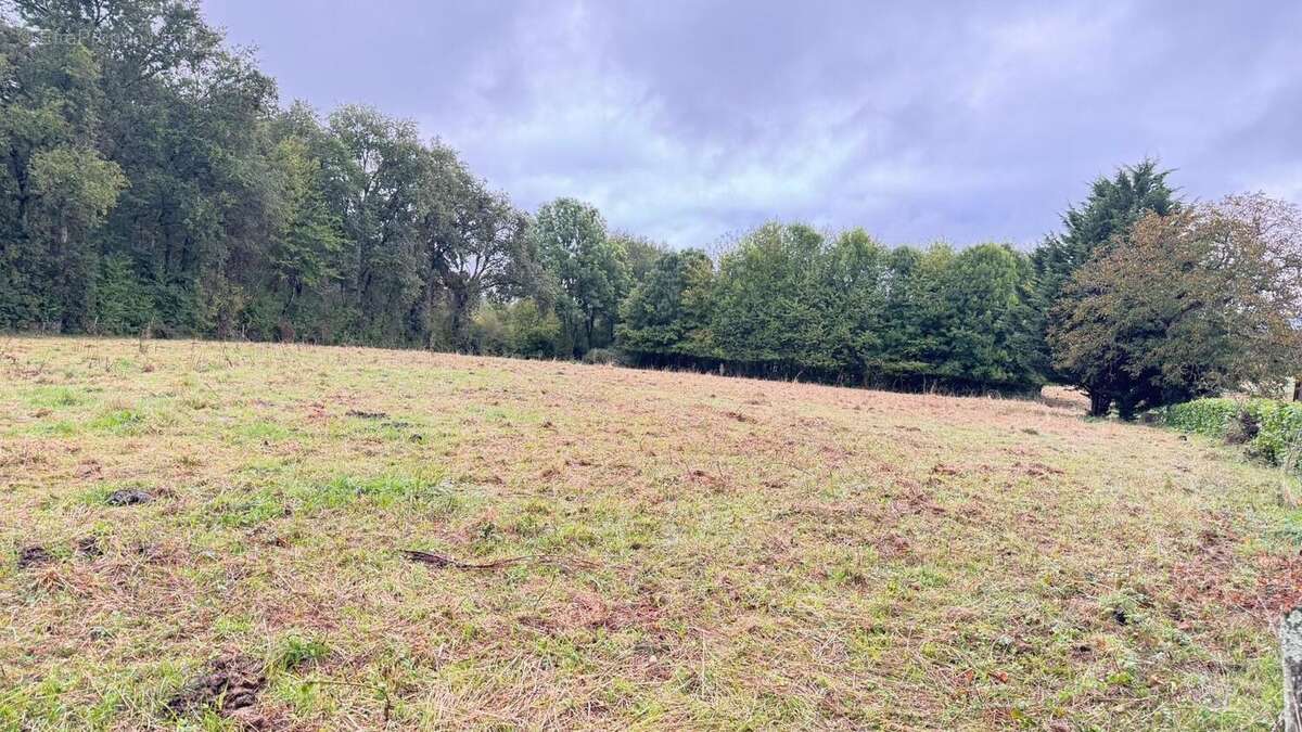 Photo 3 - Terrain à FLEURAC