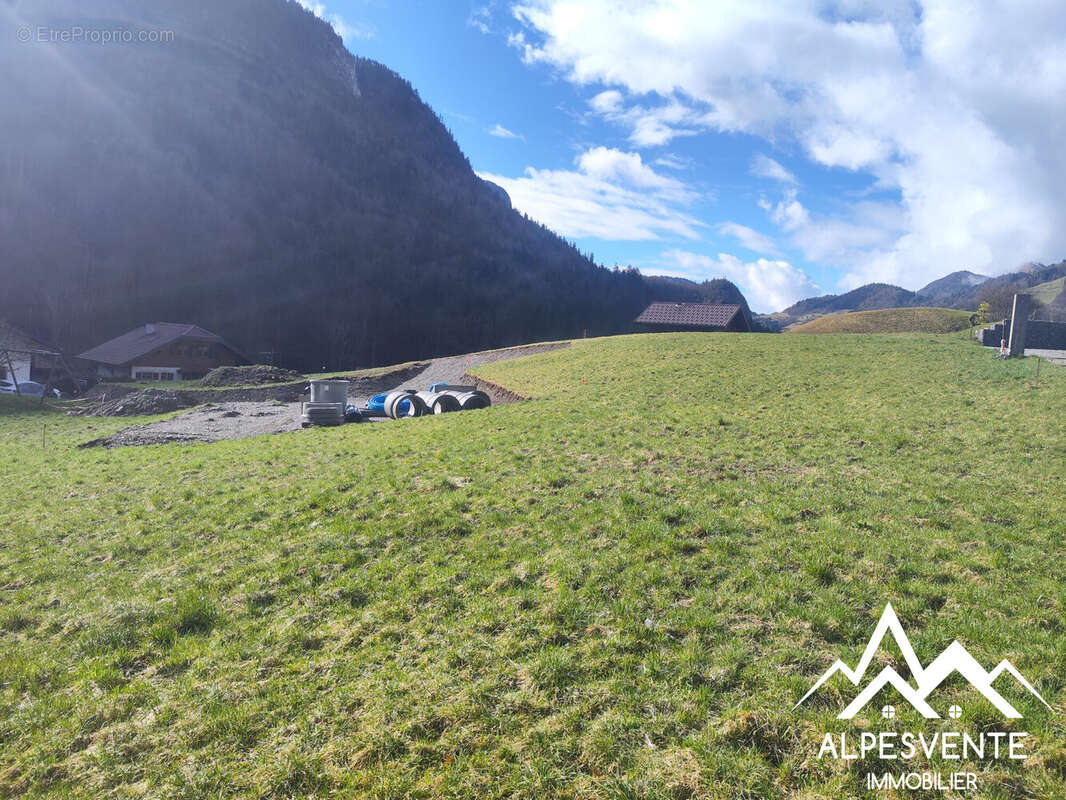 Vente-terrain-viabilisé-Bellevaux - Terrain à BELLEVAUX