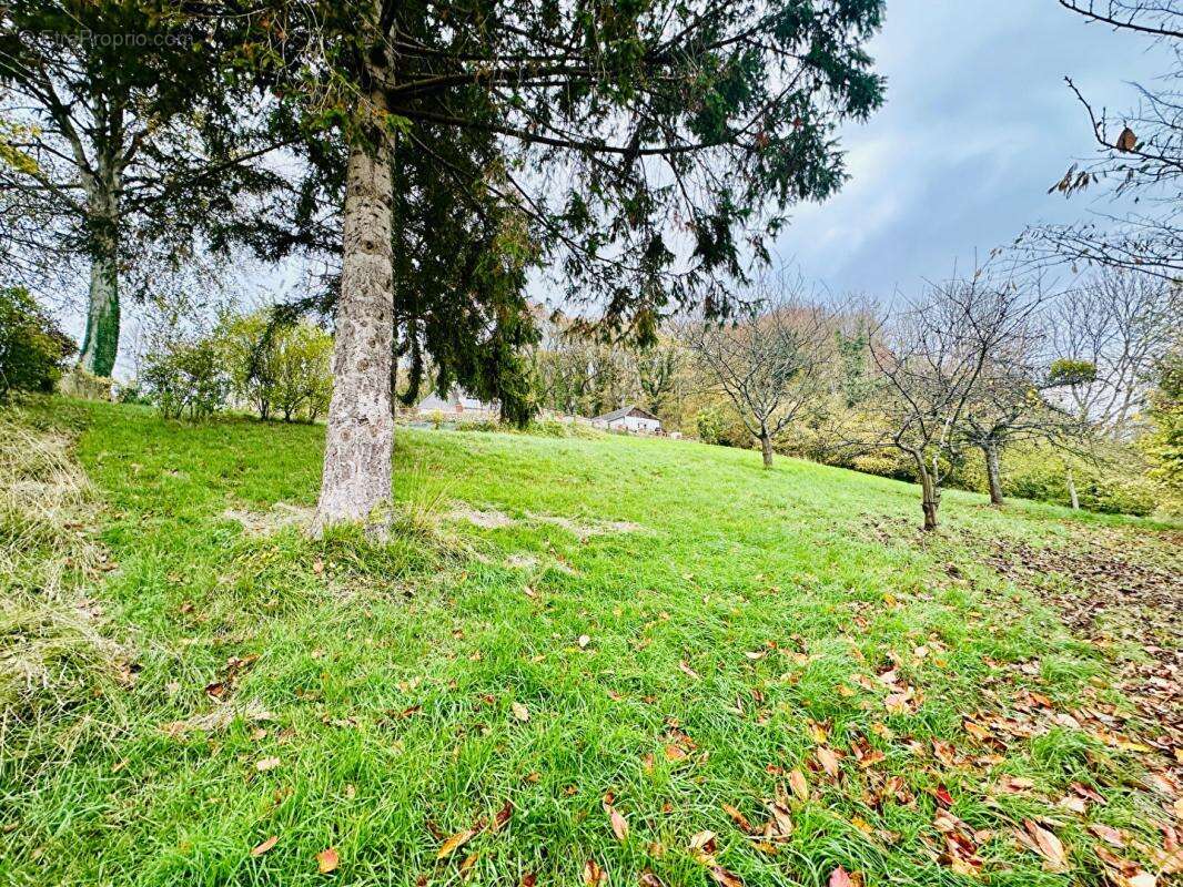 Terrain à MANNEVILLE-LA-PIPARD