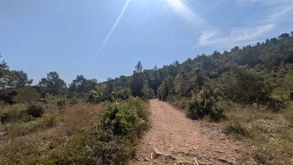 CARCES - Terrain 22.234m² en zone Naturelle - photo 16