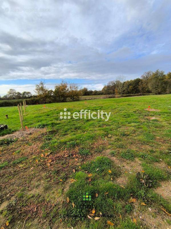 Terrain à TALMONT-SAINT-HILAIRE