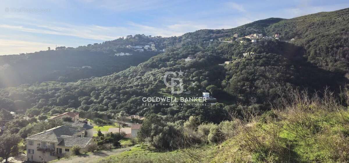 Terrain à VILLE-DI-PIETRABUGNO