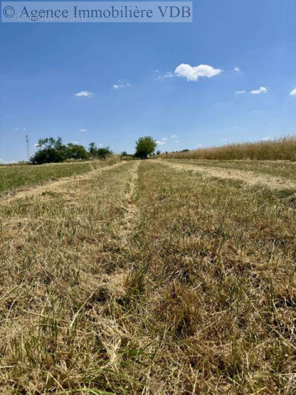 Terrain de 1024 m²  m² - photo 2