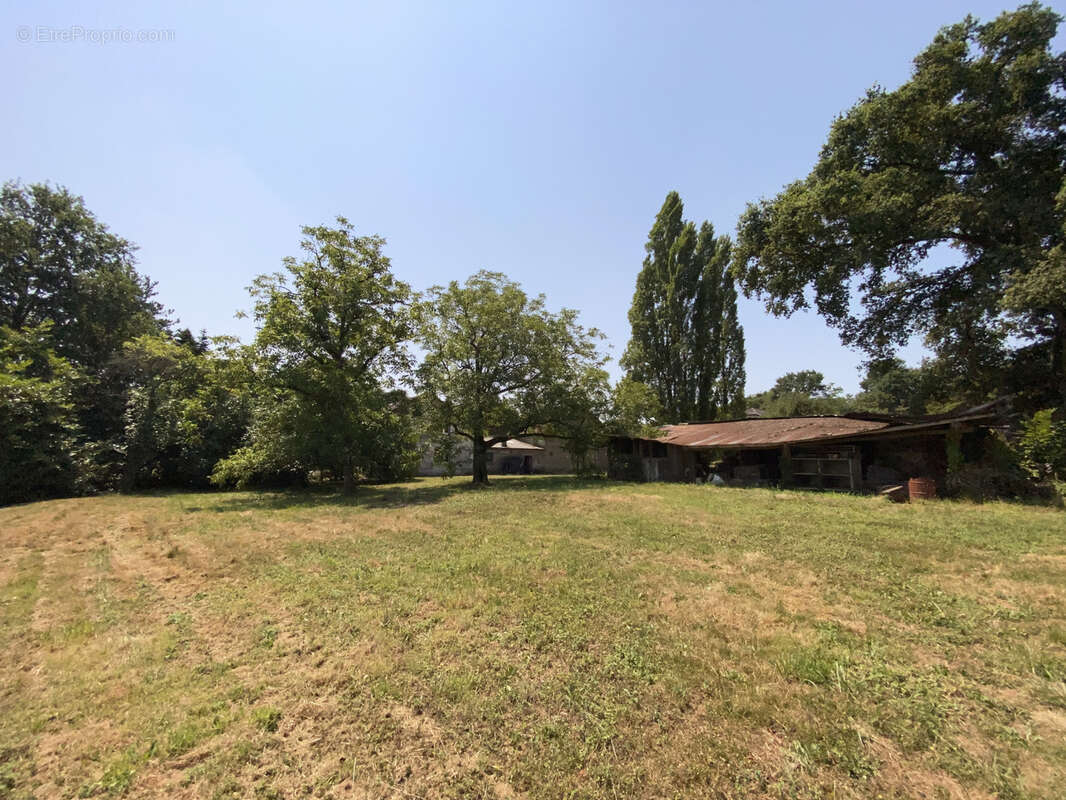 Ferme 10 hectares Monein - photo 24