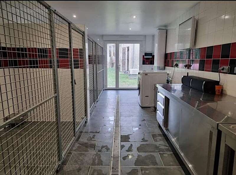Maison 137m2 + dépendances + élevage canin sur 5,7 ha de terrain proche de aire sur l'adour (40) - photo 16