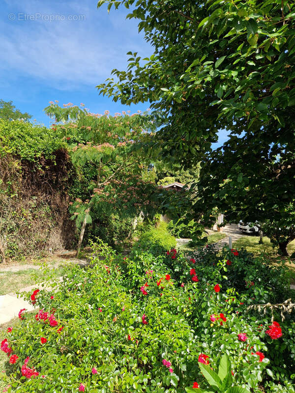 Maison bourgeoise 214 m2 en cœur de ville, avec piscine et jardin magnifique de 1300 m2. Garage, cave - photo 29