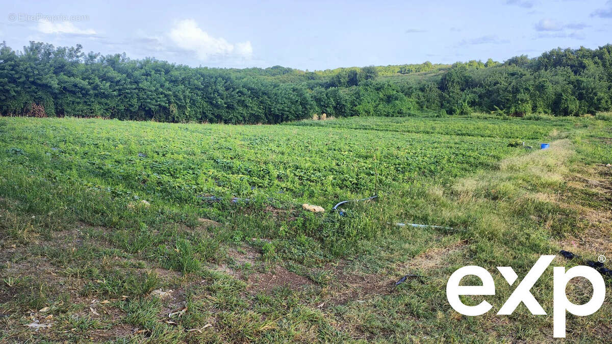 Terrain à LE VAUCLIN