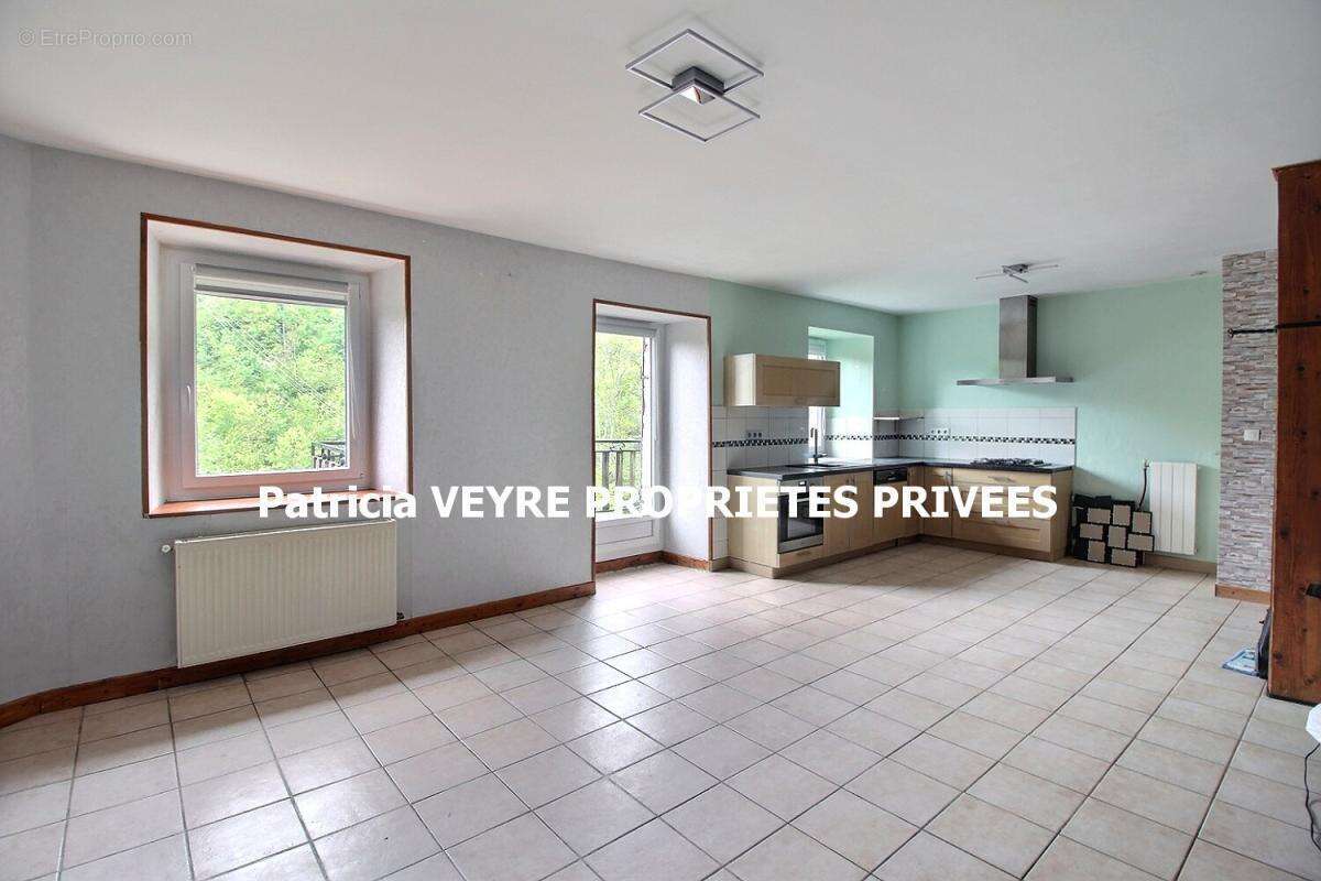 BOURG-ARGENTAL  42220 maison individuelle en pierre au coeur du Pilat - photo 5