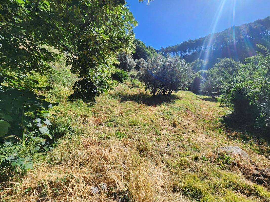 Magnifique mas de village rénové avec vue panoramique sur les Cévennes – 278 m² habitables – Terrain de 2 612 m² - photo 11