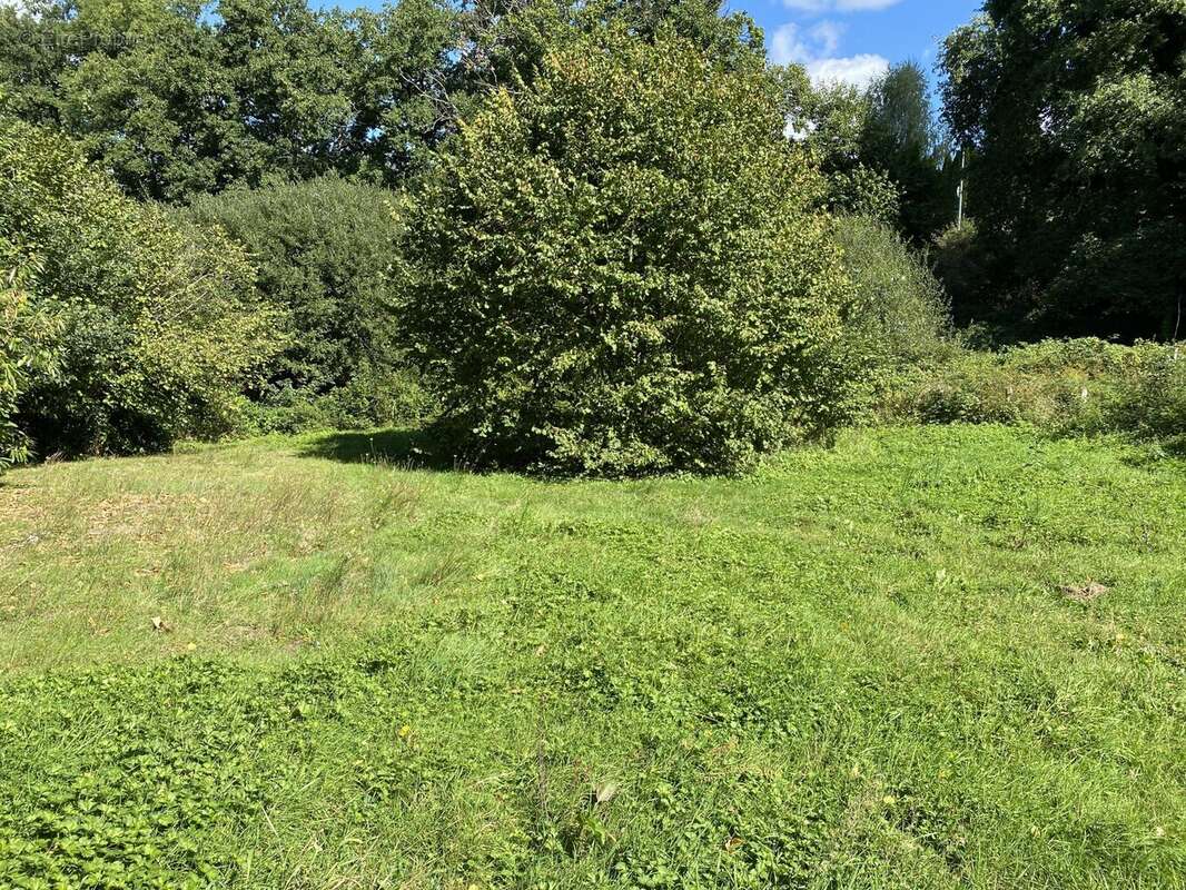 Maison à CHATEAUNEUF-LA-FORET