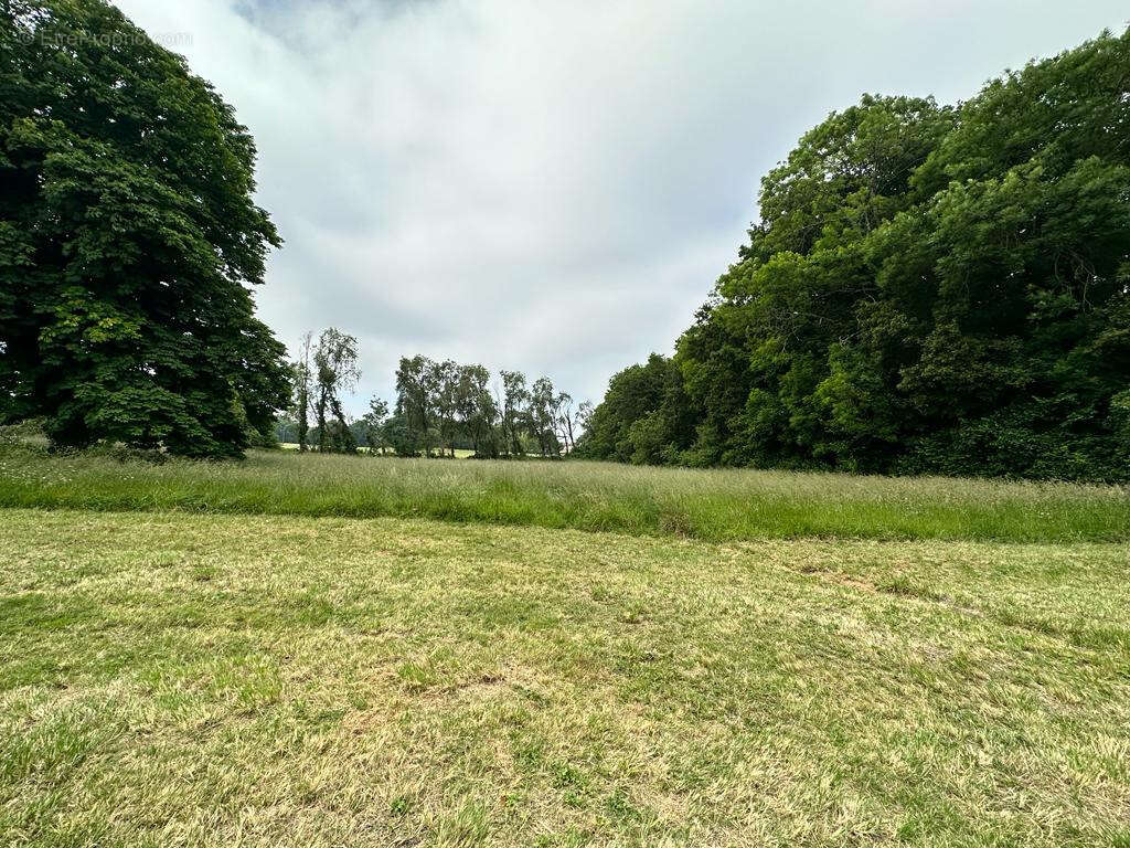 Maison à SAINT-DIZANT-DU-BOIS