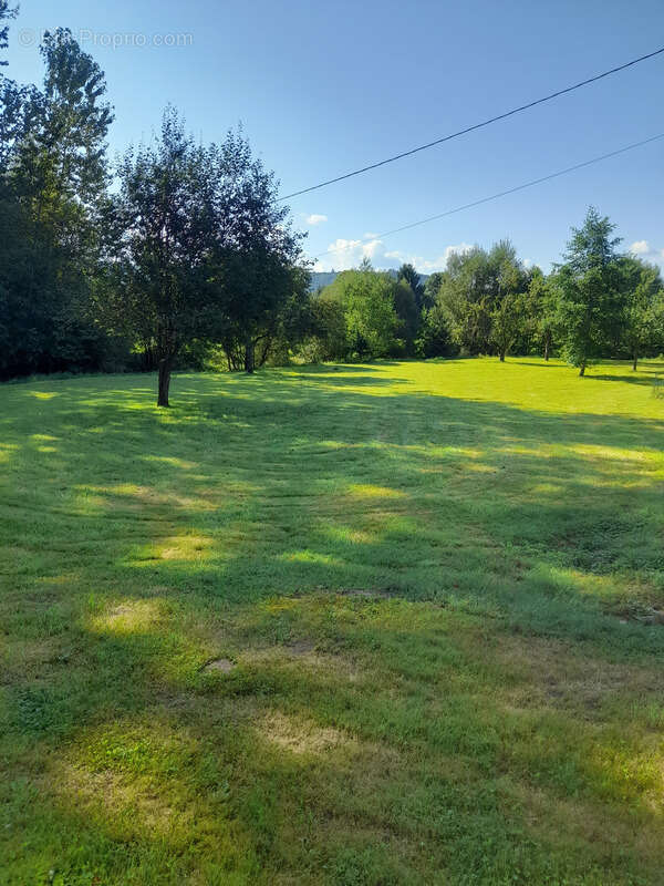 Ferme rénovée, sur 49 ares avec rivière - photo 3