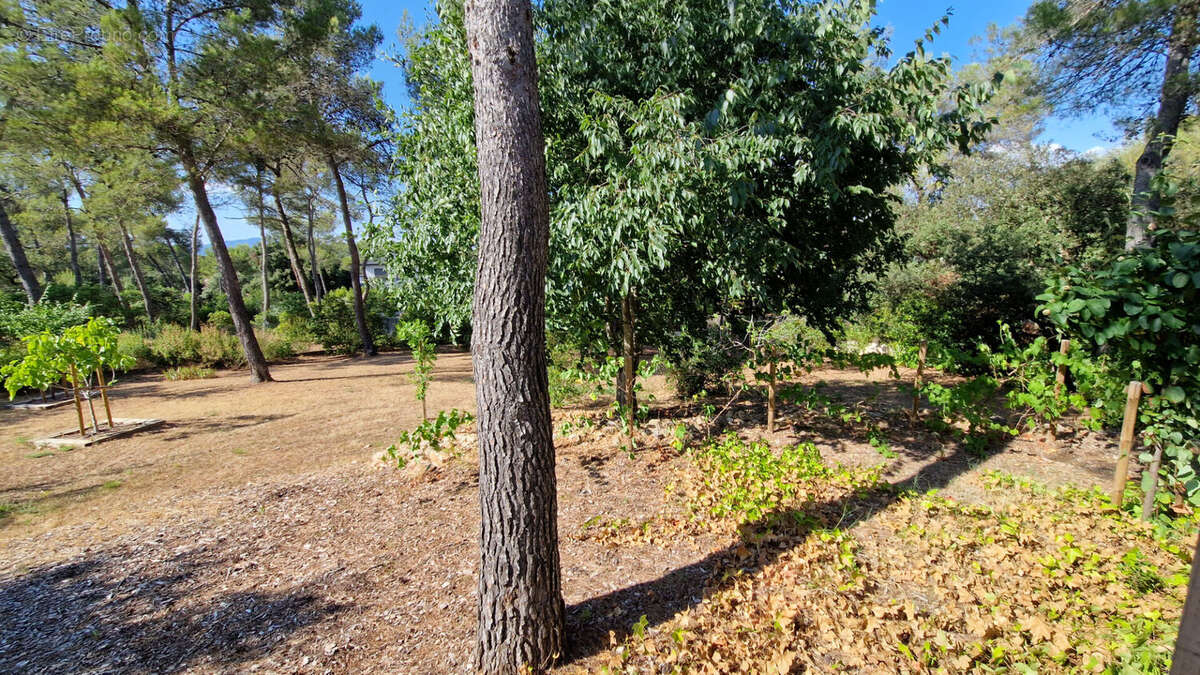 Maison à MONTFERRIER-SUR-LEZ