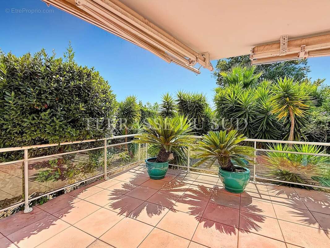 Vente Appartement 4 Pièces, 95 m2 avec 390 m2 de Terrasse et Jardin, Garage - Quartier La Plage - Marseille 8 - photo 24