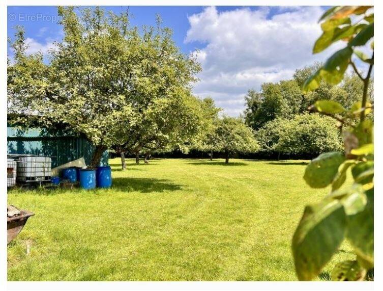 Terrain à BEUZEVILLE