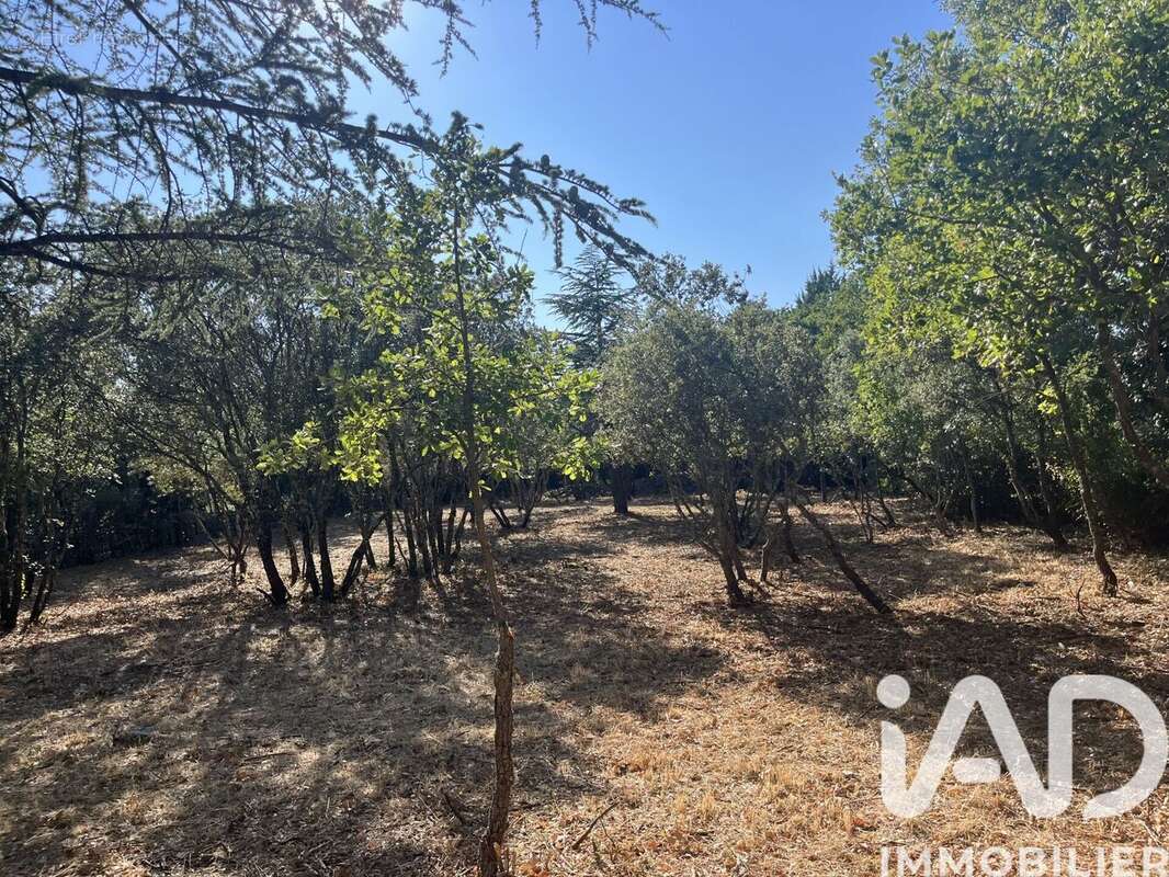 Photo 5 - Terrain à CABRIERES-D&#039;AVIGNON