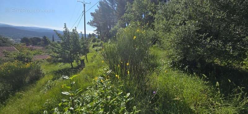 Terrain à SOLLIES-VILLE