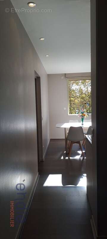 Appartement à ECULLY