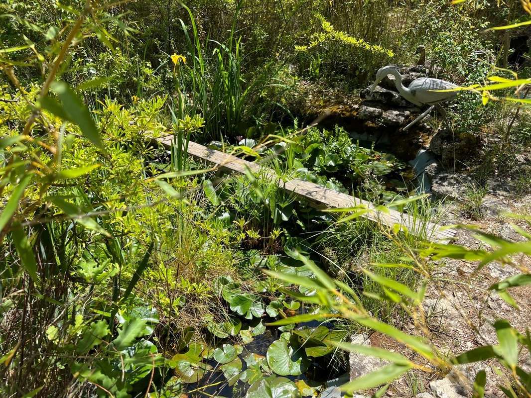 Maison en pierre à vendre à Ménerbes avec un jardin et piscine - photo 15
