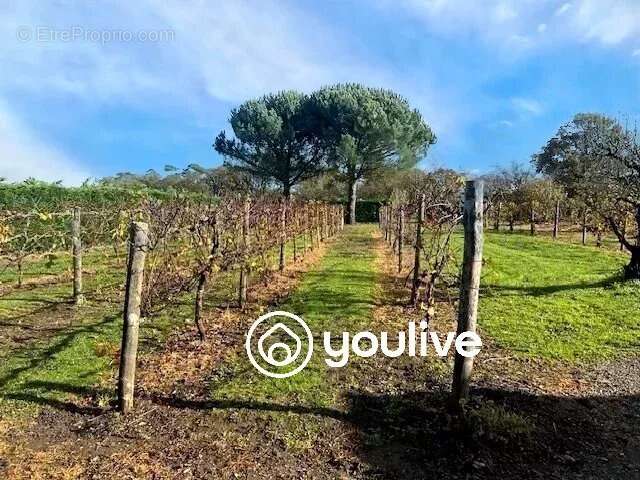 Maison à COMMEQUIERS