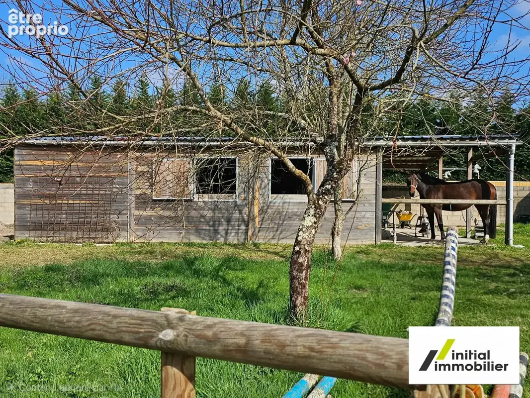 Propriete equestre avec carriere - photo 11
