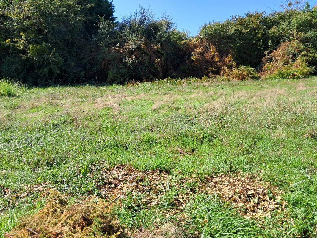 Terrain à LE POUT