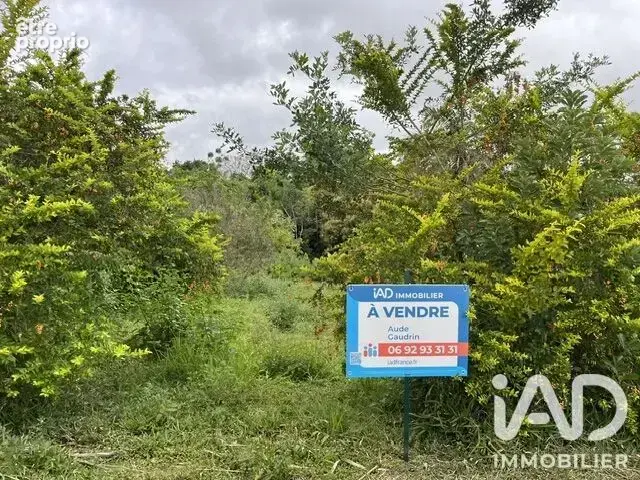 Photo 1 - Terrain à LE TAMPON