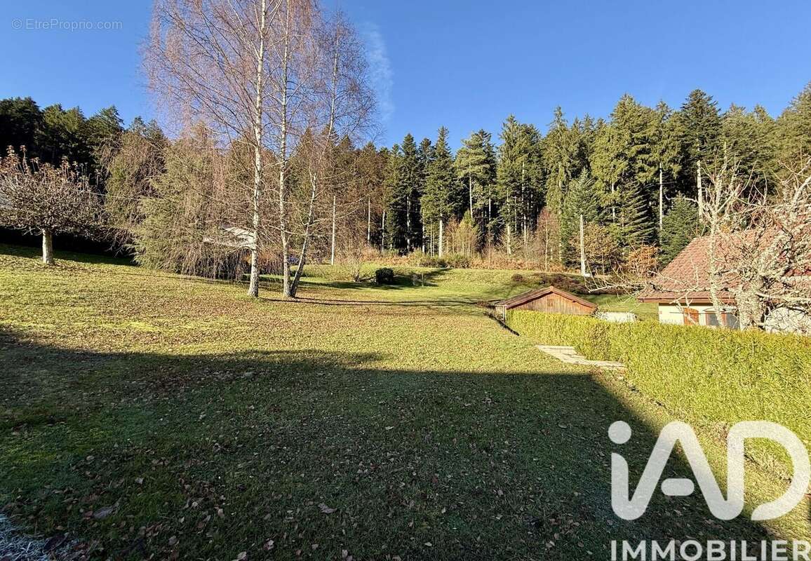 Photo 4 - Maison à LE THOLY