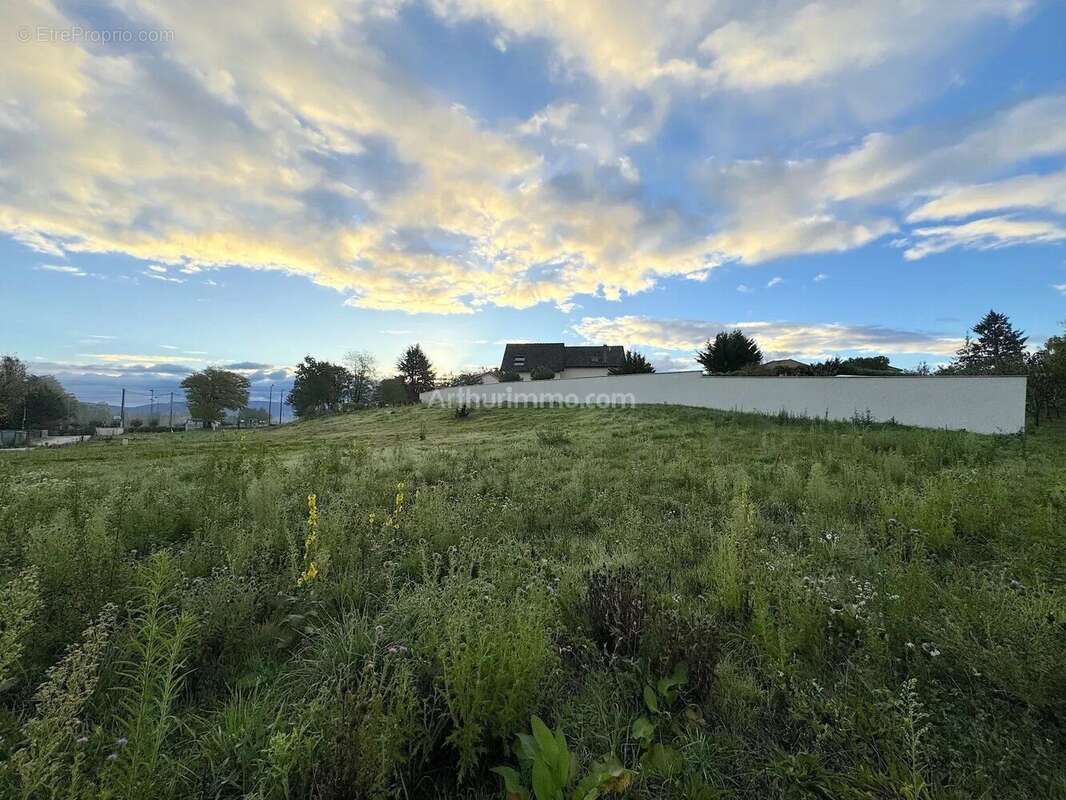 Terrain à VEZERONCE-CURTIN